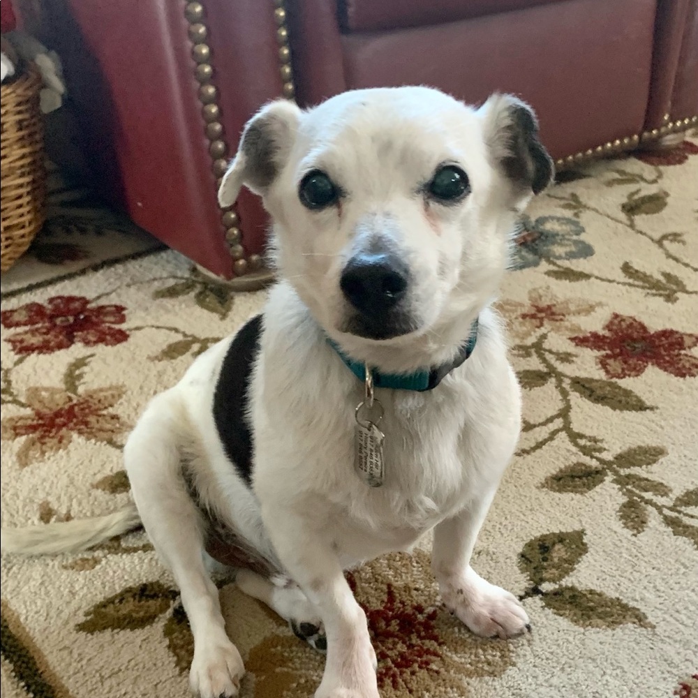 Meet your Posher, Hilary